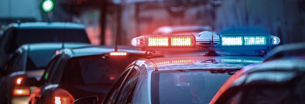 A Minnesota police officer doing a routine car search